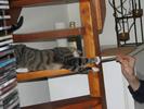 gal/2006-04-15 Raoul Party by Alex/_thb_IMG_1182.JPG